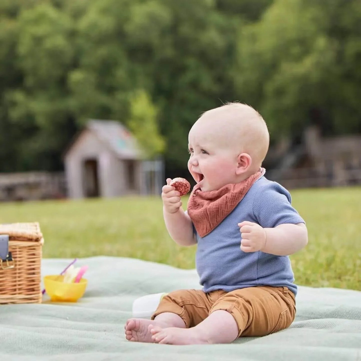 Organix Summer Fruits Rice Cake Clouds 7+ months 40g