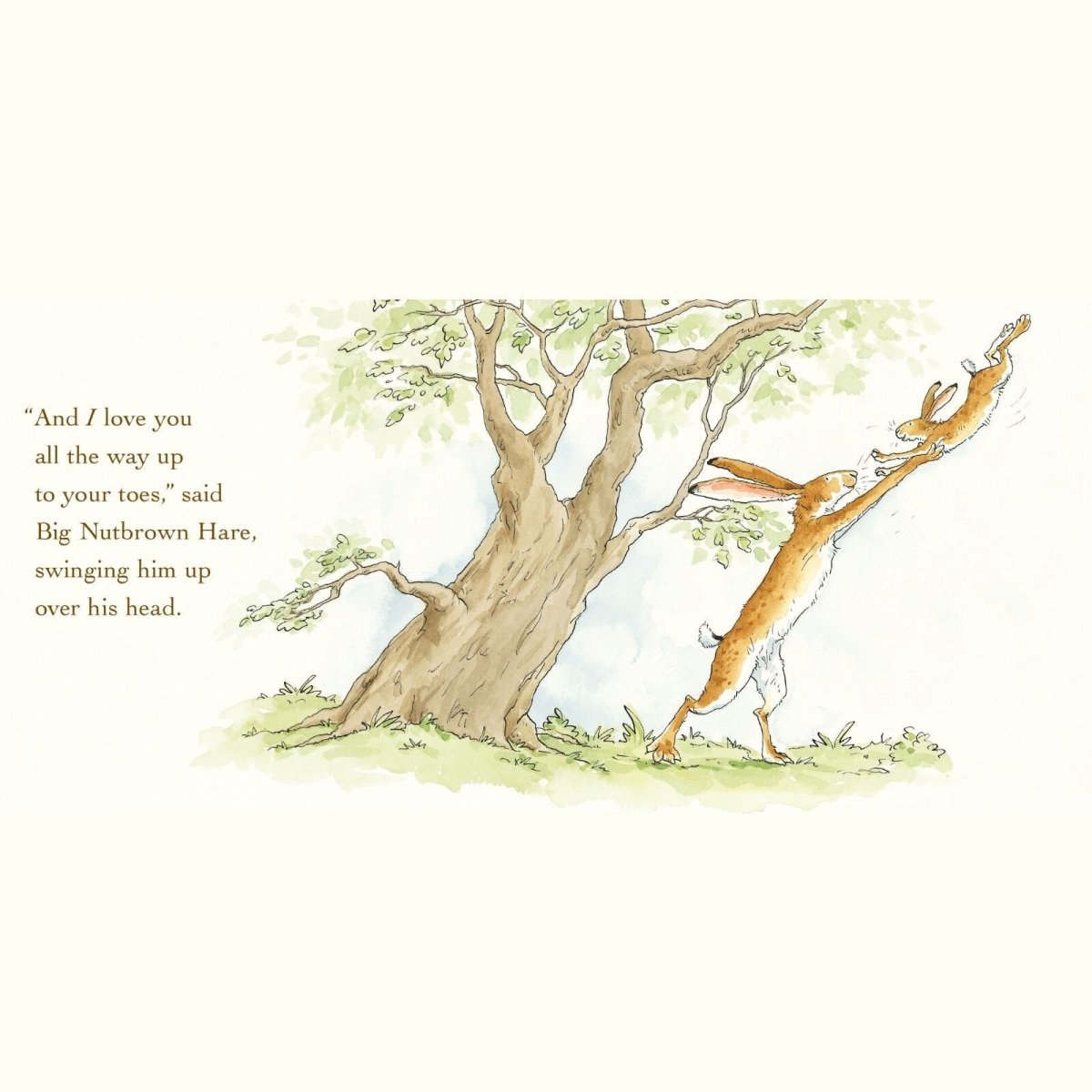 Guess How Much I Love You Board Book