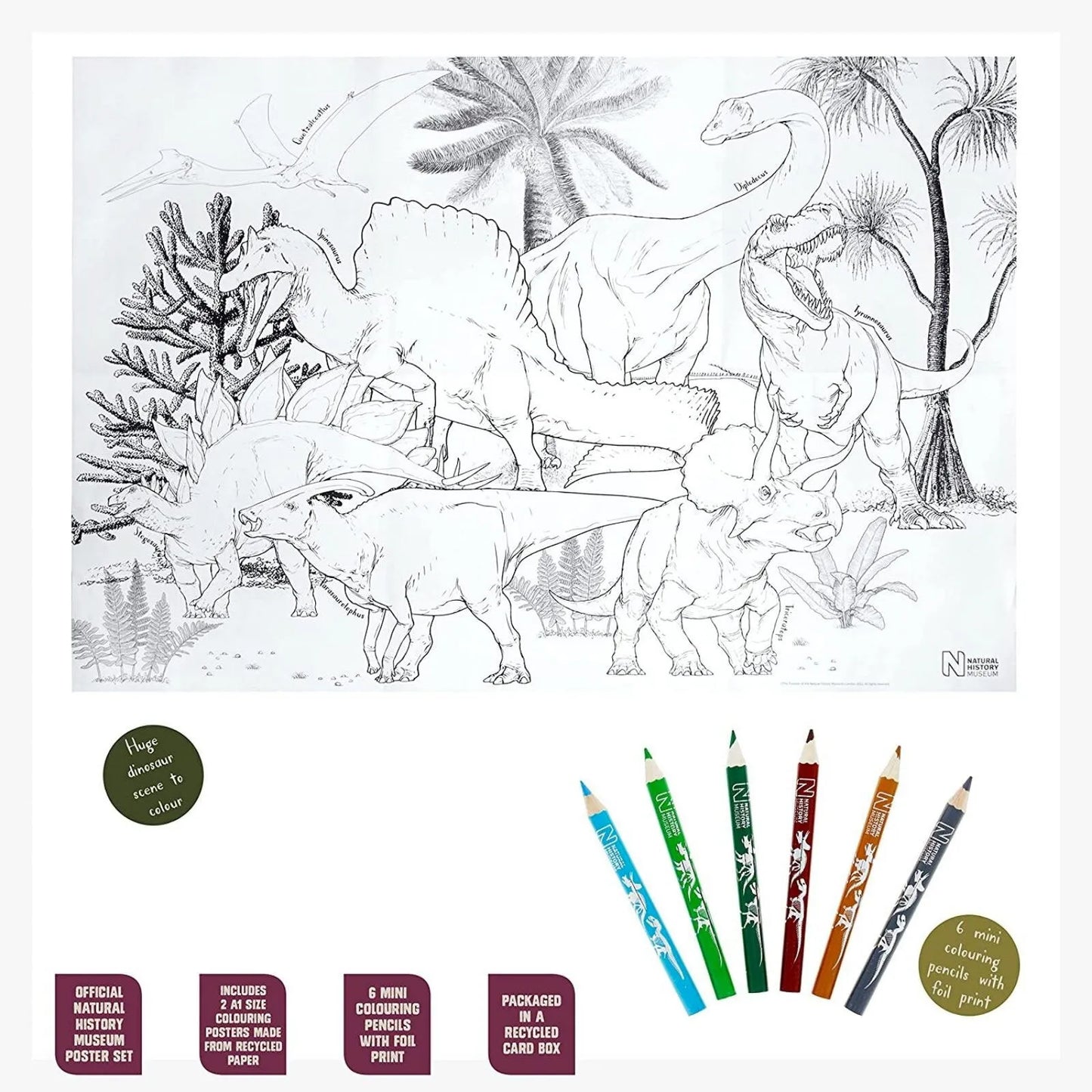 National History Museum Giant Poster Set