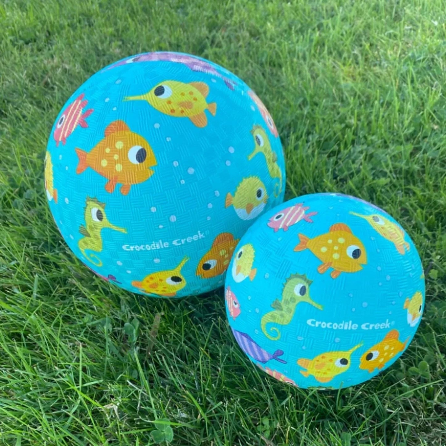 Wheely Bug Crocodile Creek 5" Playball - Fish