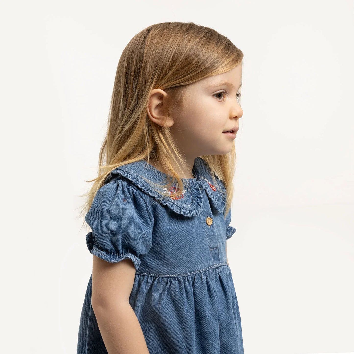HelloBaby Spring Memories Girl Dress - Indigo