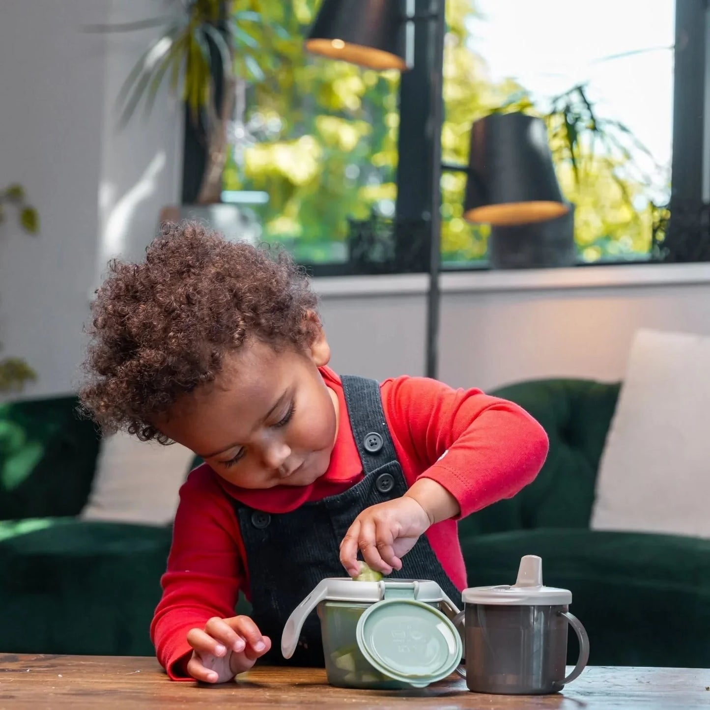 Vital Baby Nourish Snack On the Go - Natural Moss