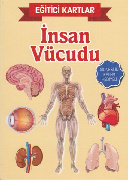 Eğitici Kartlar İnsan Vücudu - Teleskop Popüler Bilim Kitap