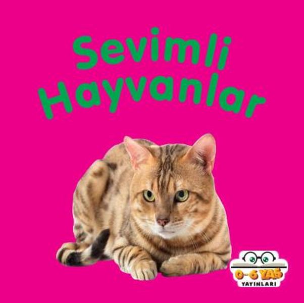 Sevimli Hayvanlar - Mini Karton Kitaplar – Ahmet Altay – 0-6 Yaş Yayınları – kitap kapağı
