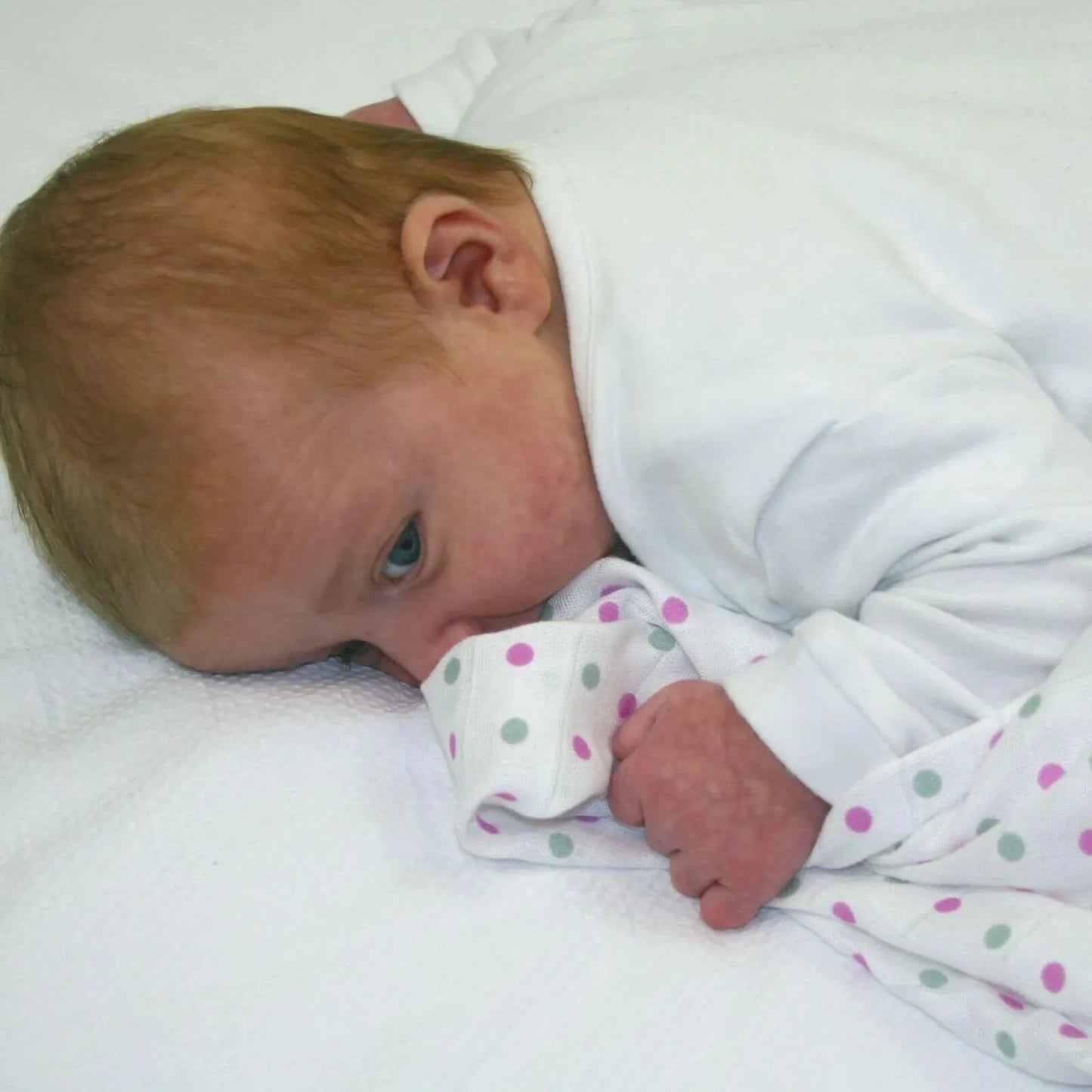 MuslinZ Muslin Squares 70x70cm 6 pcs - Violet