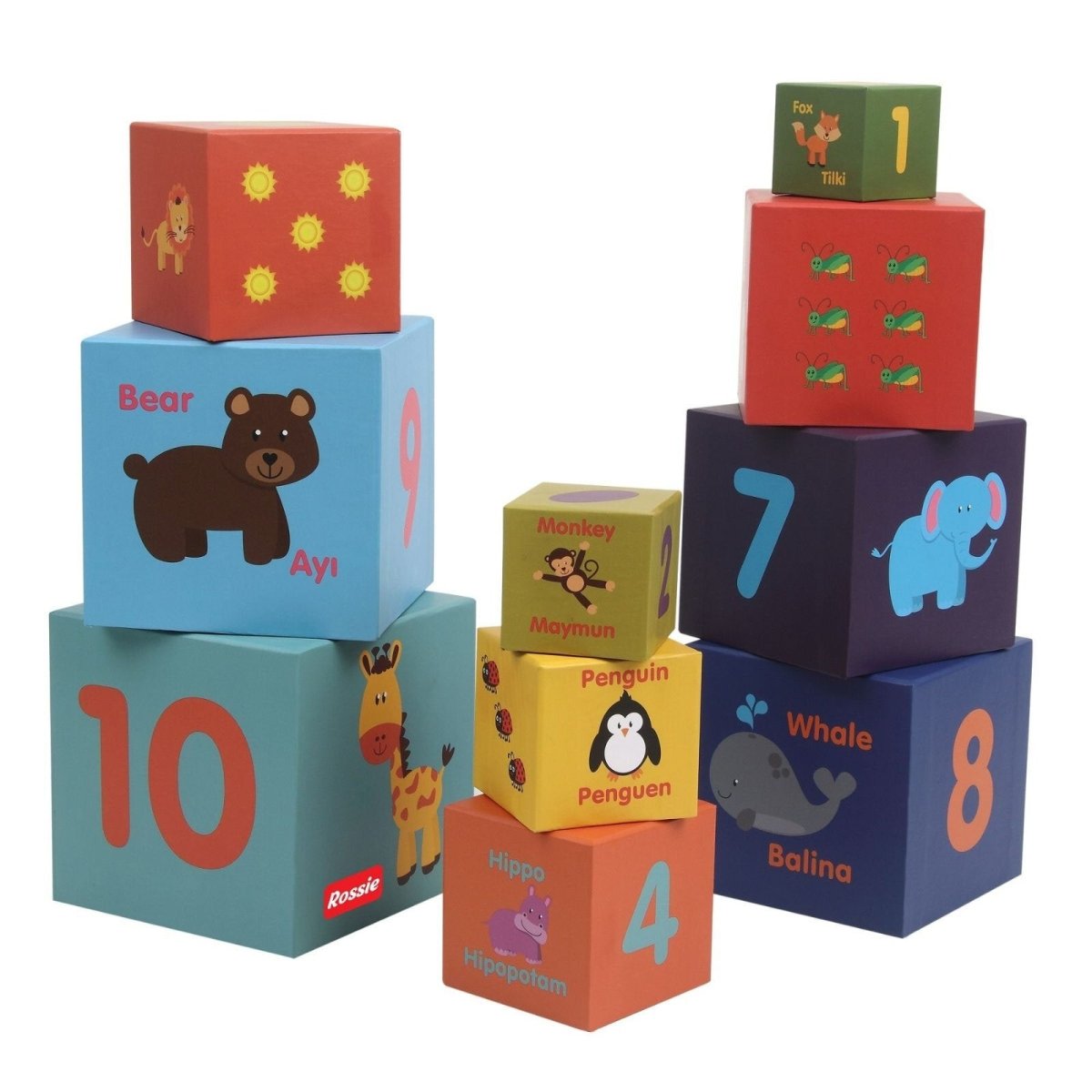 Rossie Educational Cube 10 Pieces
