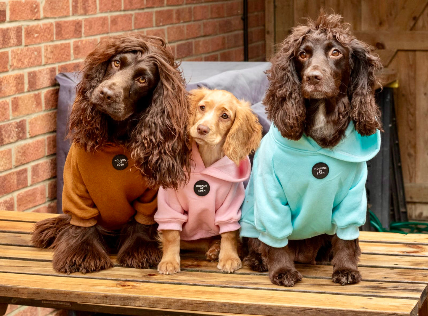 Dog Hoodie - Light Pink