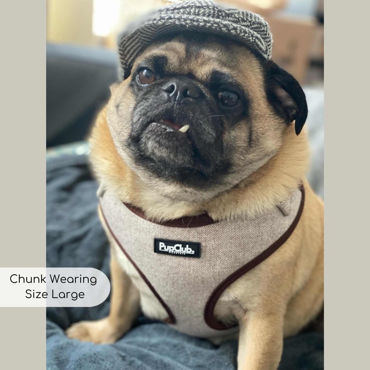 Tweed Adjustable Harness - Brown