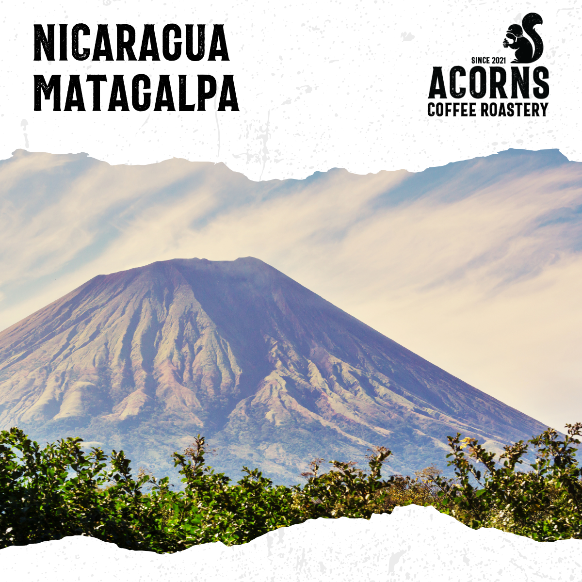 Nicaragua Matagalpa Medium Roast