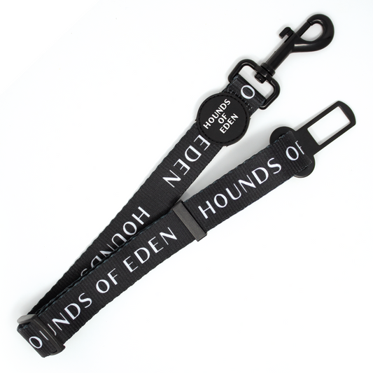 Car Seat belt Restraint