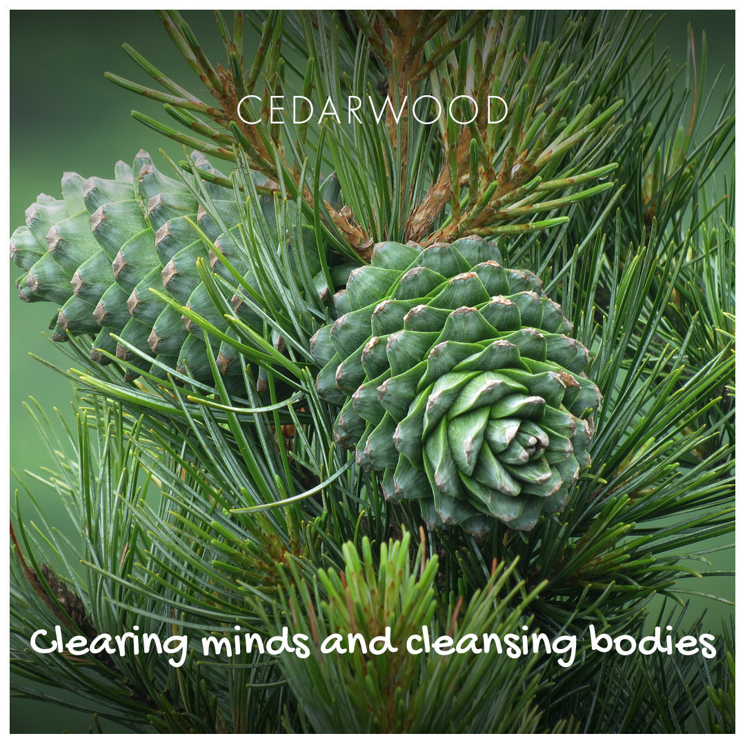 Cedarwood Natural Soap