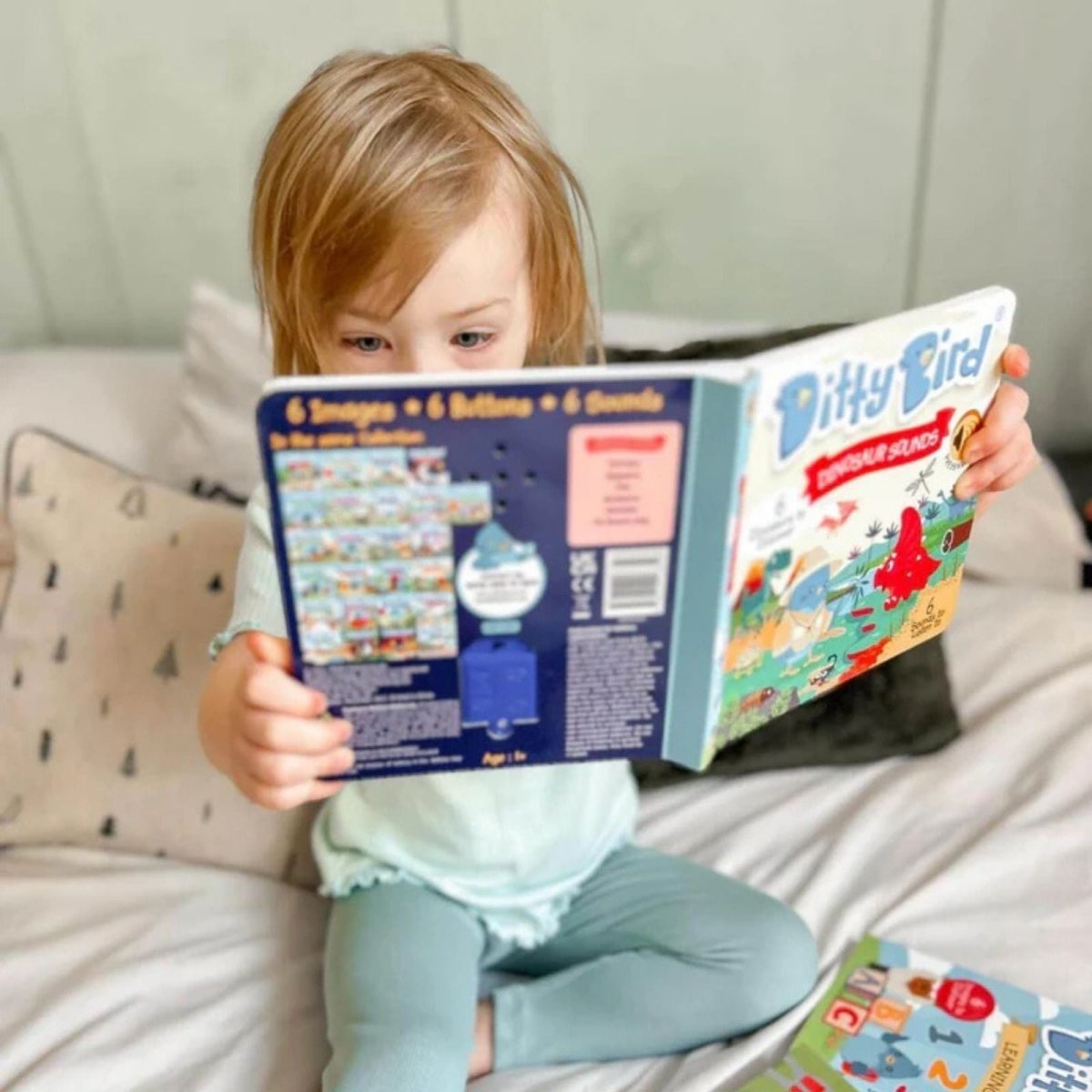 Ditty Bird Dinosaur Sounds Book