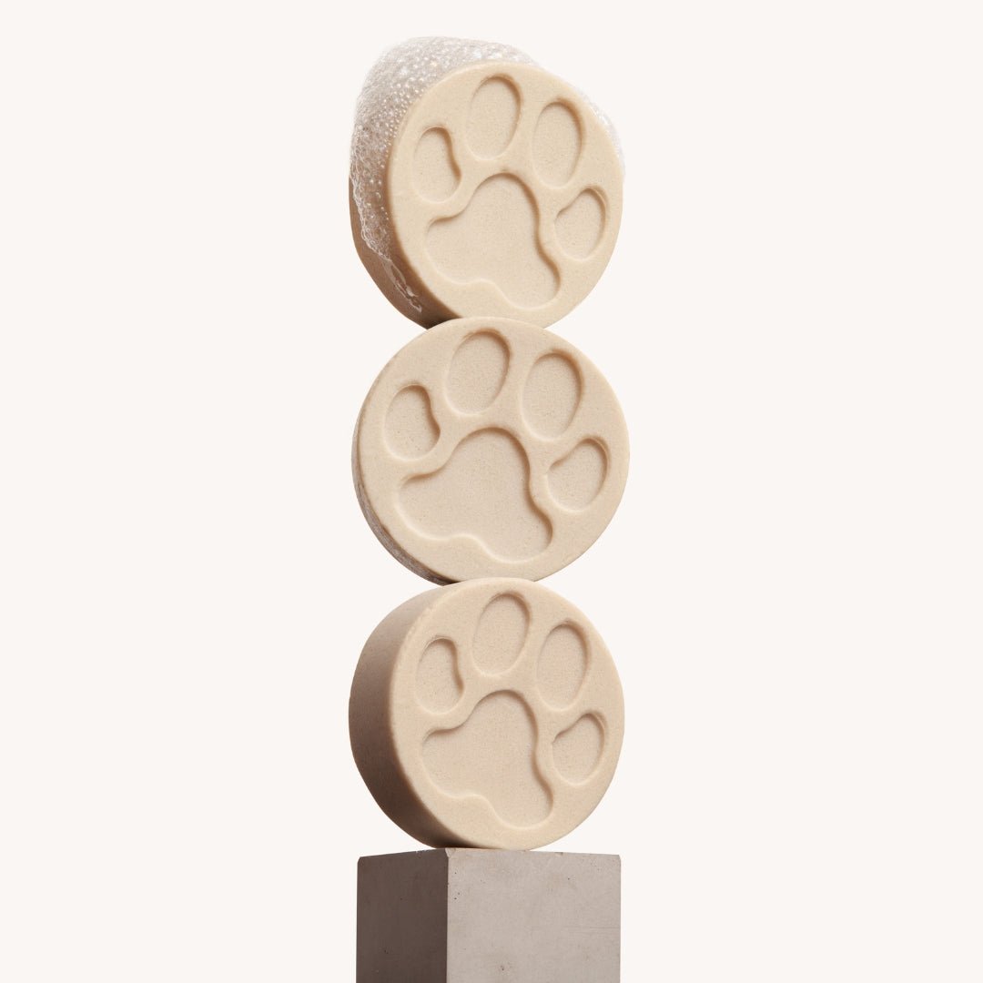 Fragrance Free Dog Shampoo Bar Bundle - mezetto