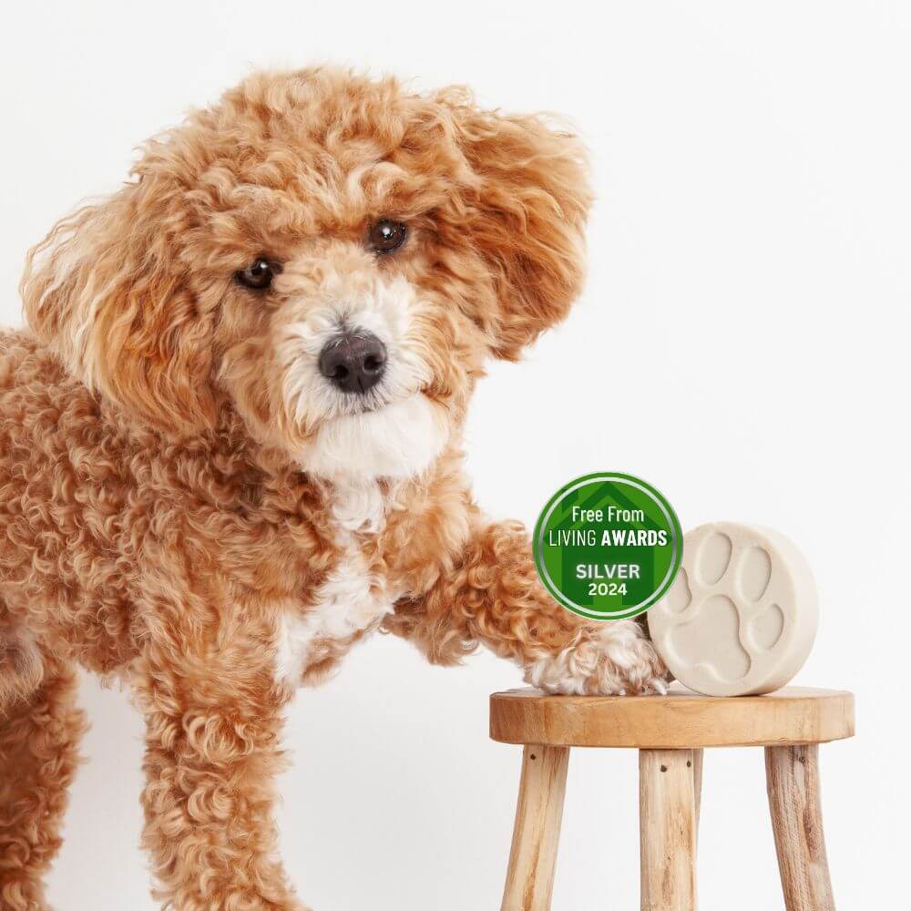 Fragrance Free Dog Shampoo Bar Bundle - mezetto