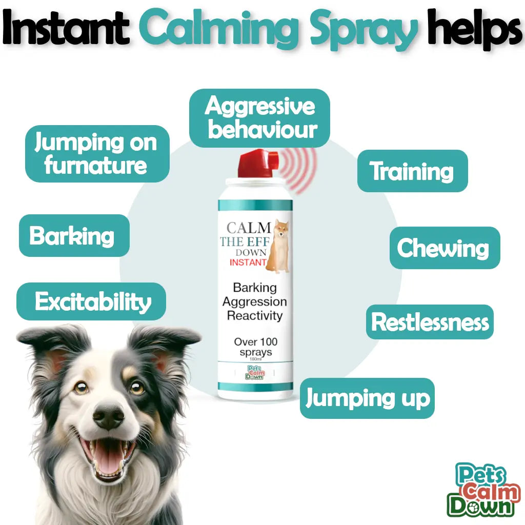 Dog training spray for barking, jumping, aggression, whining