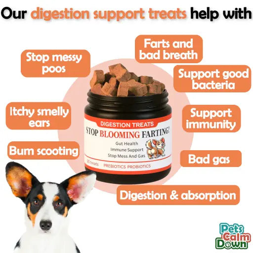 Probiotic dog treats for gas, mess, immunity, digestive health (natural herbal)