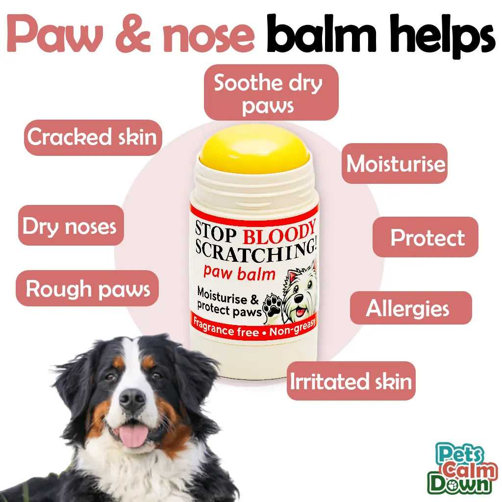 Paw & Nose Balm Stick for Dogs - 100% Natural Moisturiser for Paws | Like a Chap Stick for dogs