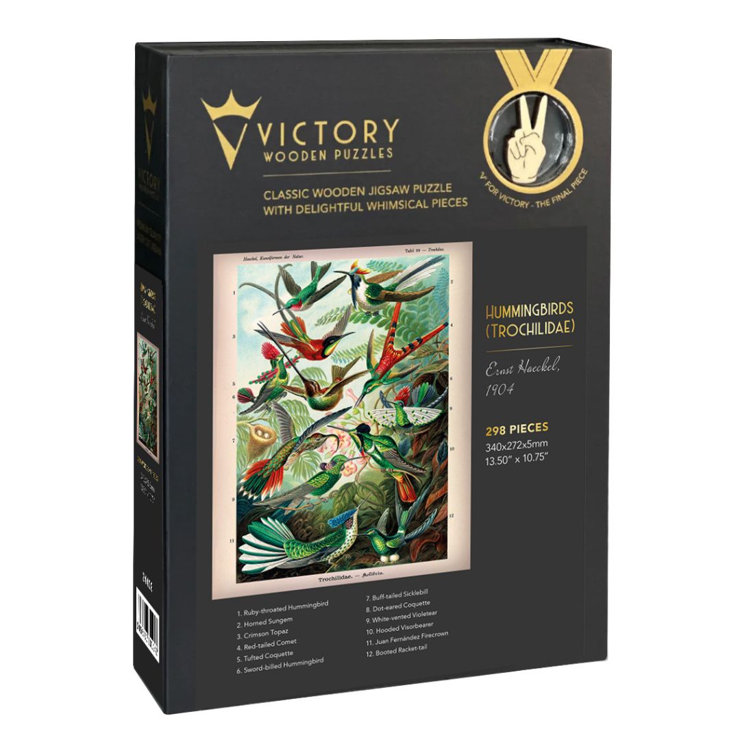 Hummingbirds (Trochilidae)