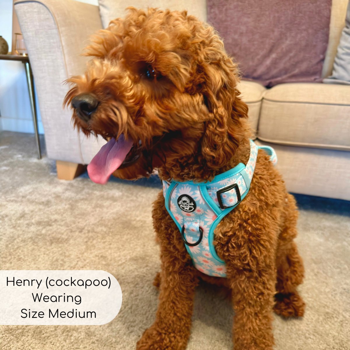 Rugged Rover™ Harness - Pastel Daisy