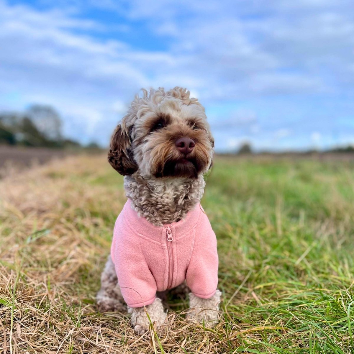 Dog Fleece Coat - Pale Pink