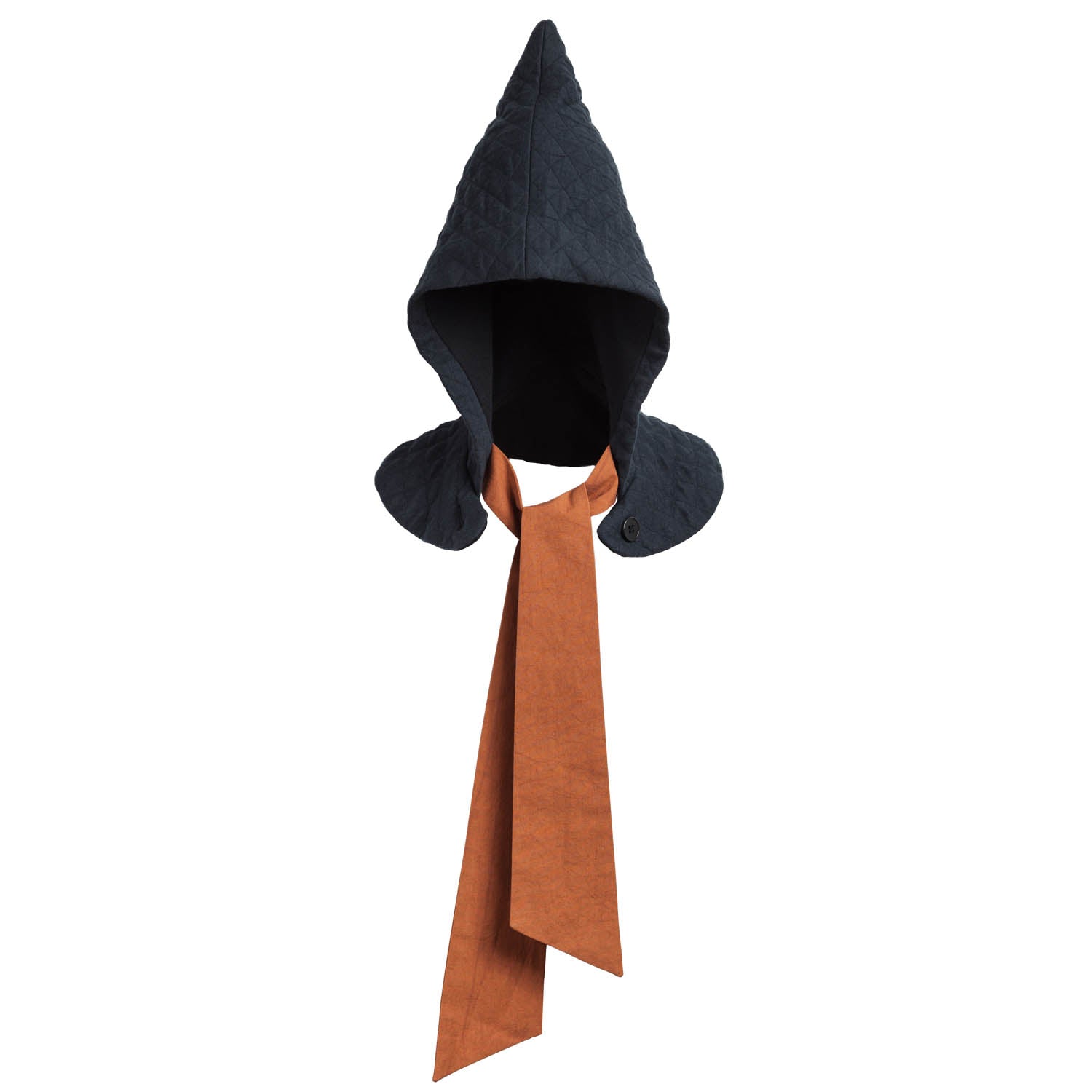 Wizard Pointy Hat-0