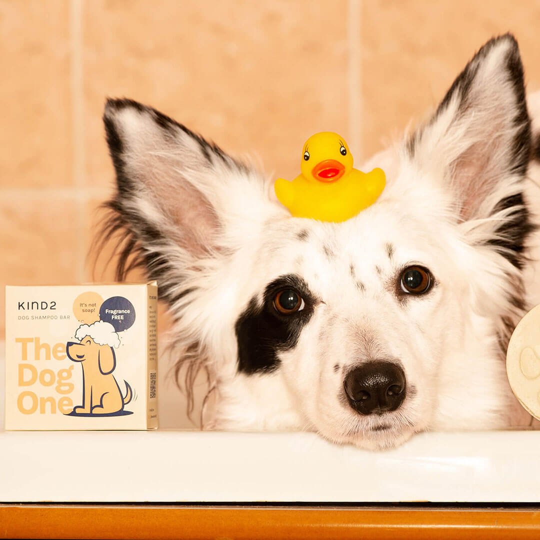 The Dog One - Shampoo Bar Fragrance Free - mezetto