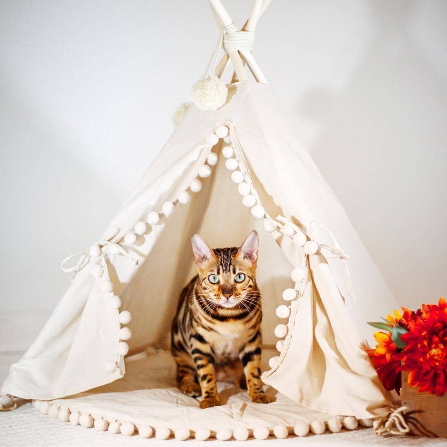 MINICAMP Cat Teepee & Small Dog Tent in Ecru with Pompoms – Size S