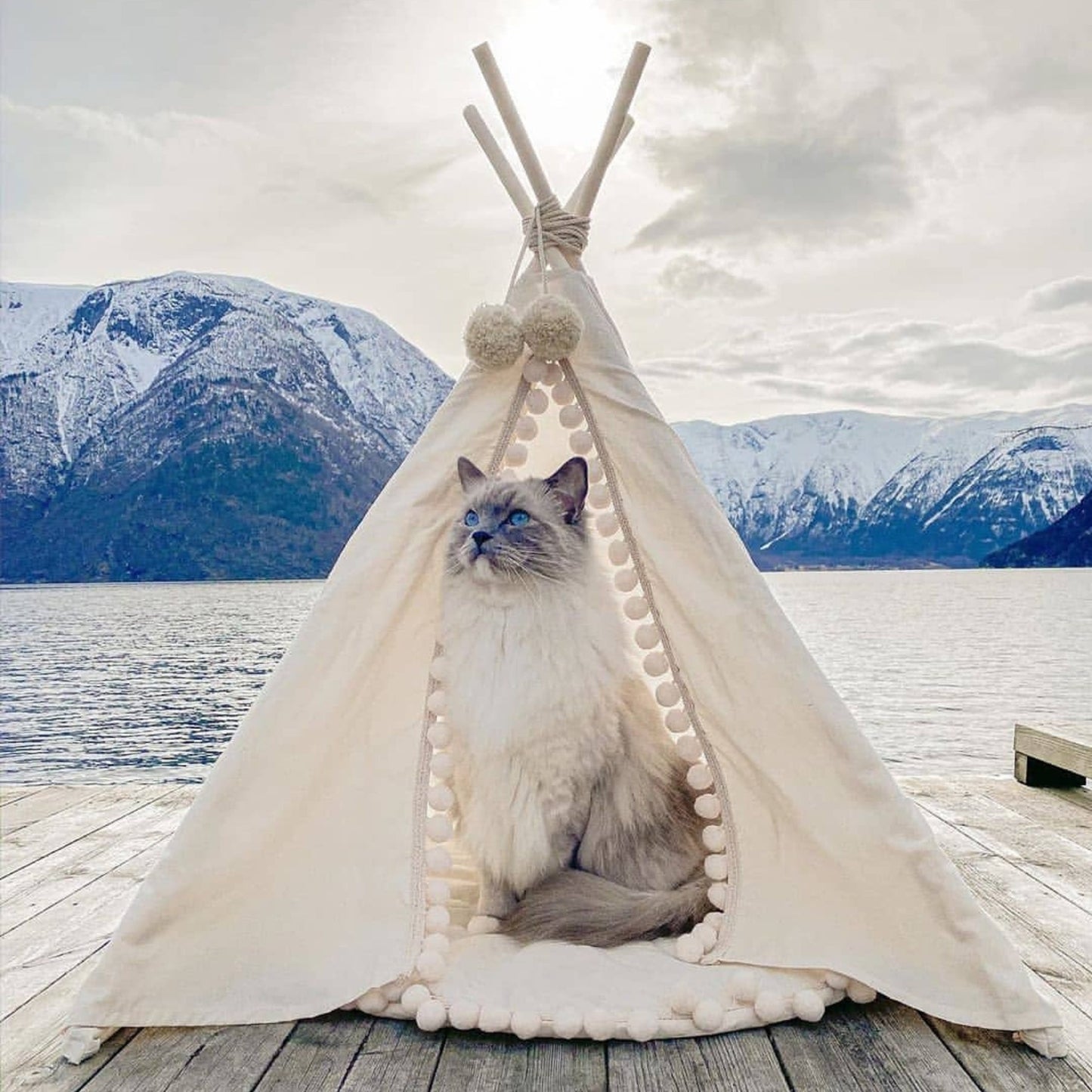 MINICAMP Dog Teepee & Large Cat Tent in Ecru with Pompoms – Size M