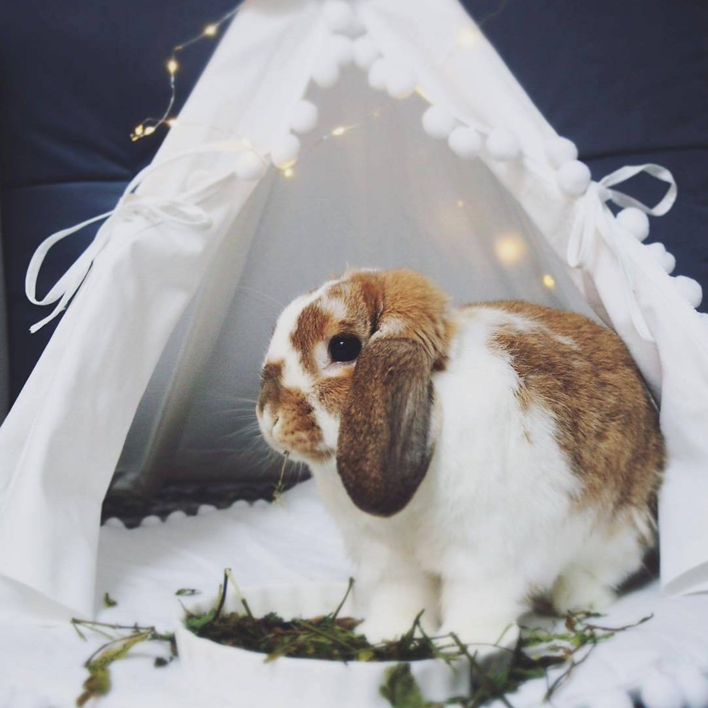 MINICAMP Rabbit Teepee, Bunny Bed in White with Pompoms – Size XS