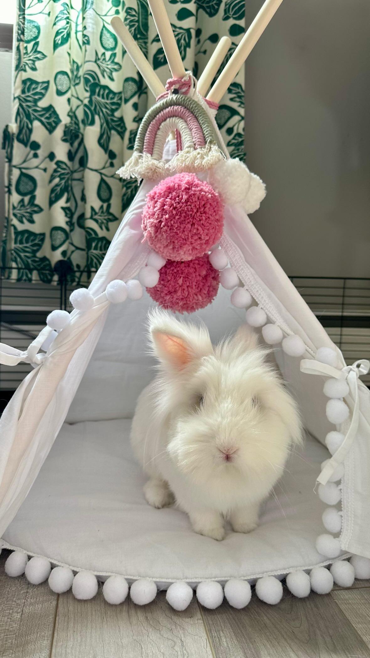 MINICAMP Tavşan Tipisi, Ponponlu Beyaz Tavşan Yatağı – Beden XS