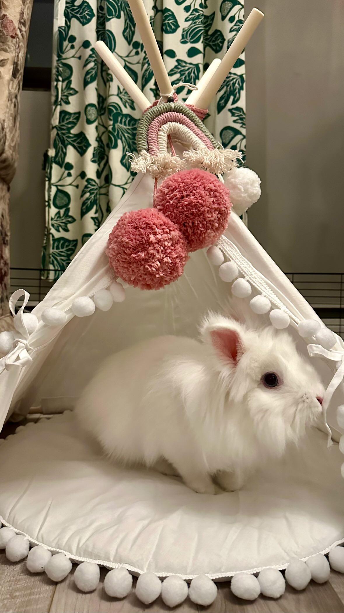 MINICAMP Rabbit Teepee, Bunny Bed in White with Pompoms – Size XS
