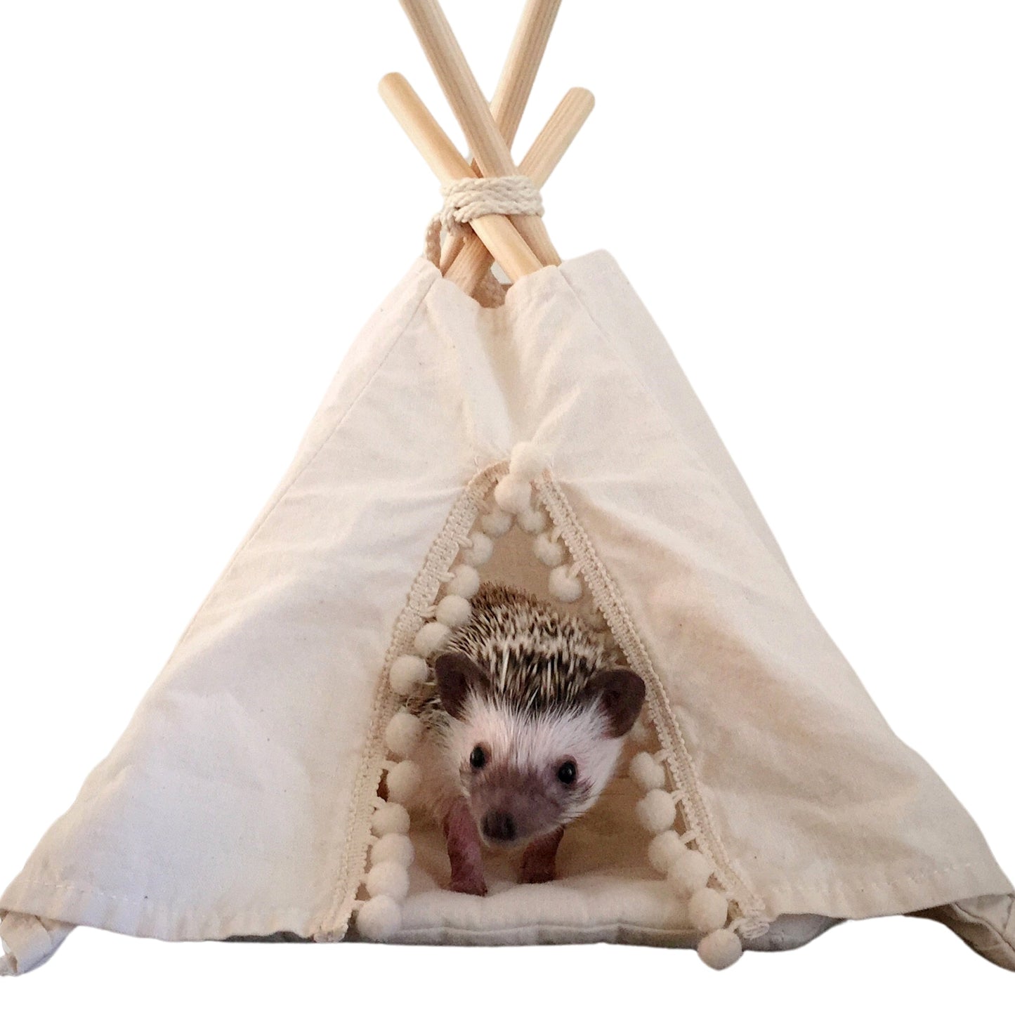 MINICAMP Hedgehog Bed Teepee with Soft Pad in Ecru - Size 4XS