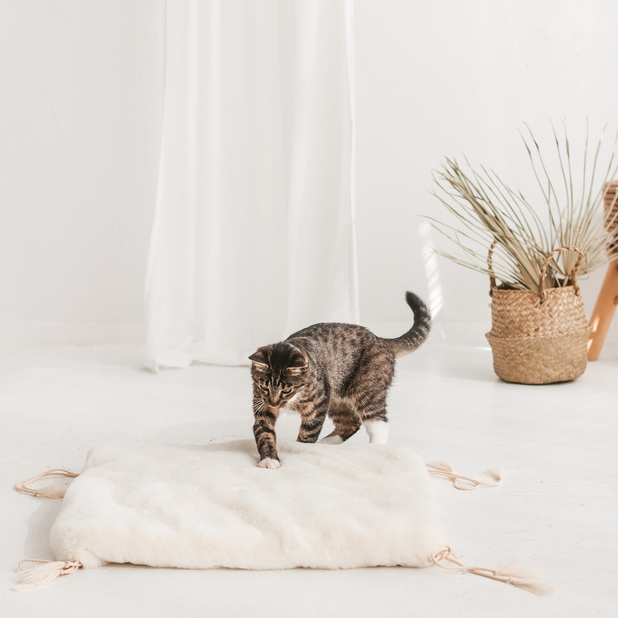 Kediler, Köpekler ve Tavşanlar için Ekru Renkli ve Suni Kürklü MINICAMP Çadırı – Bedenler XS, S, M, L