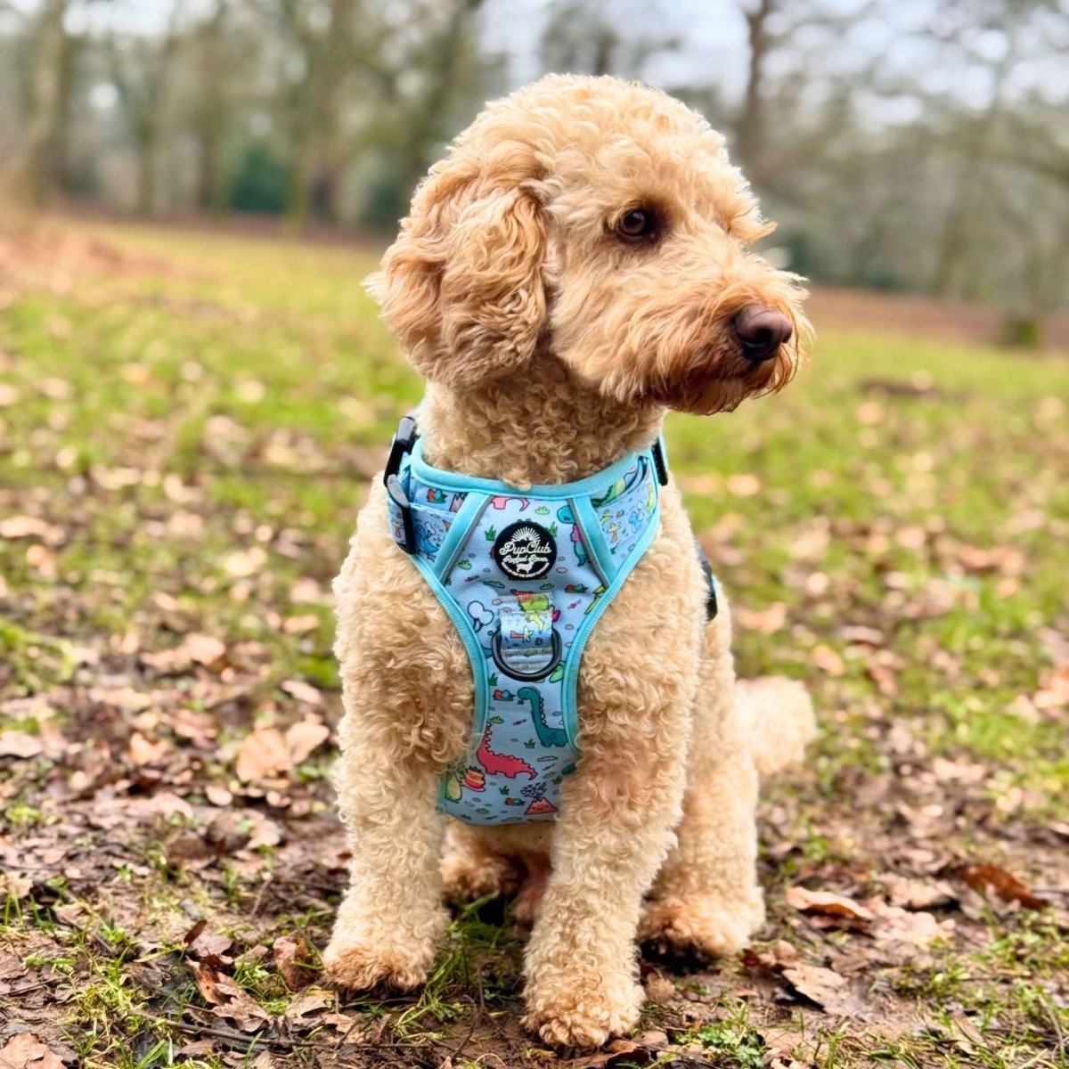 Rugged Rover™ Harness - Jurassic Party