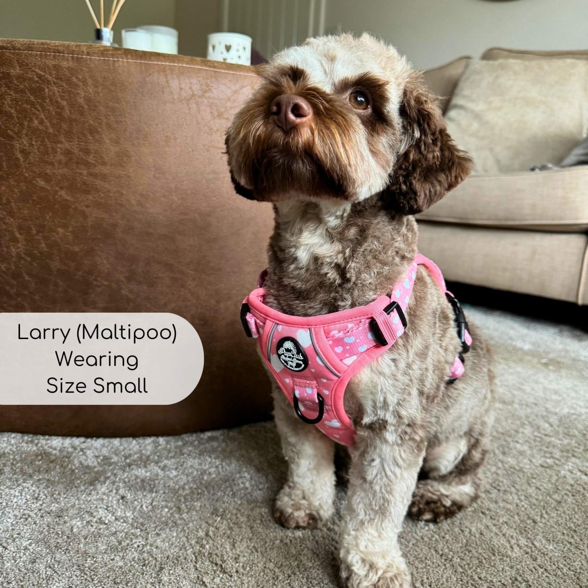 Rugged Rover™ Harness - Peachy Hearts