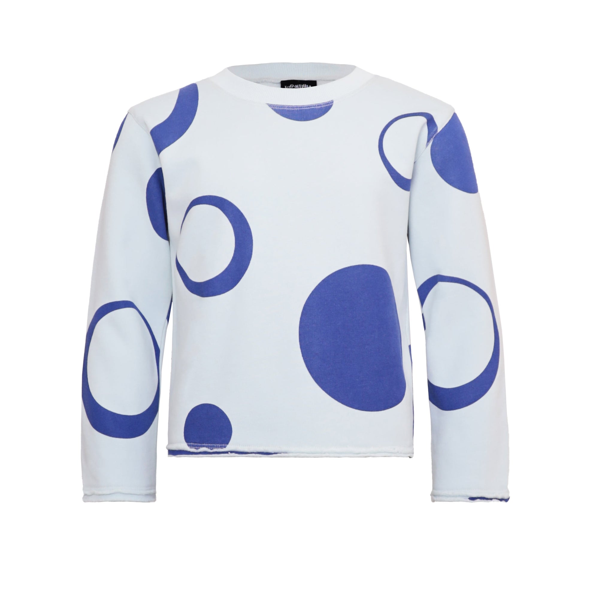 Blue Girls and Boys Sweatshirt-0