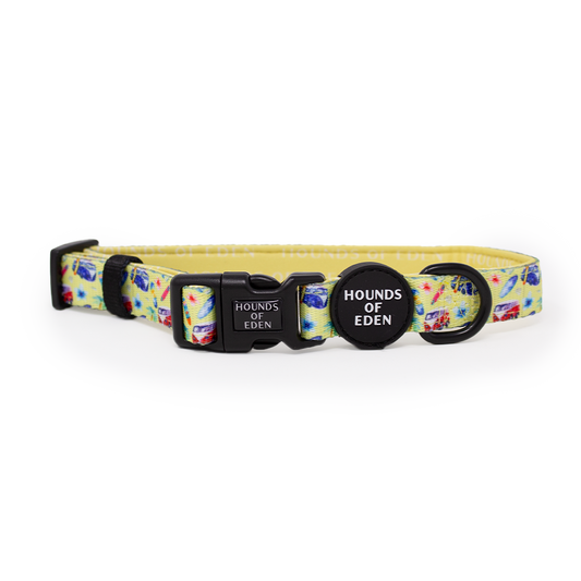 Surf's Up! - Dog Collar