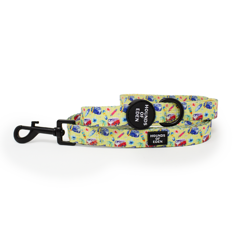 Surf's Up! - Dog Collar