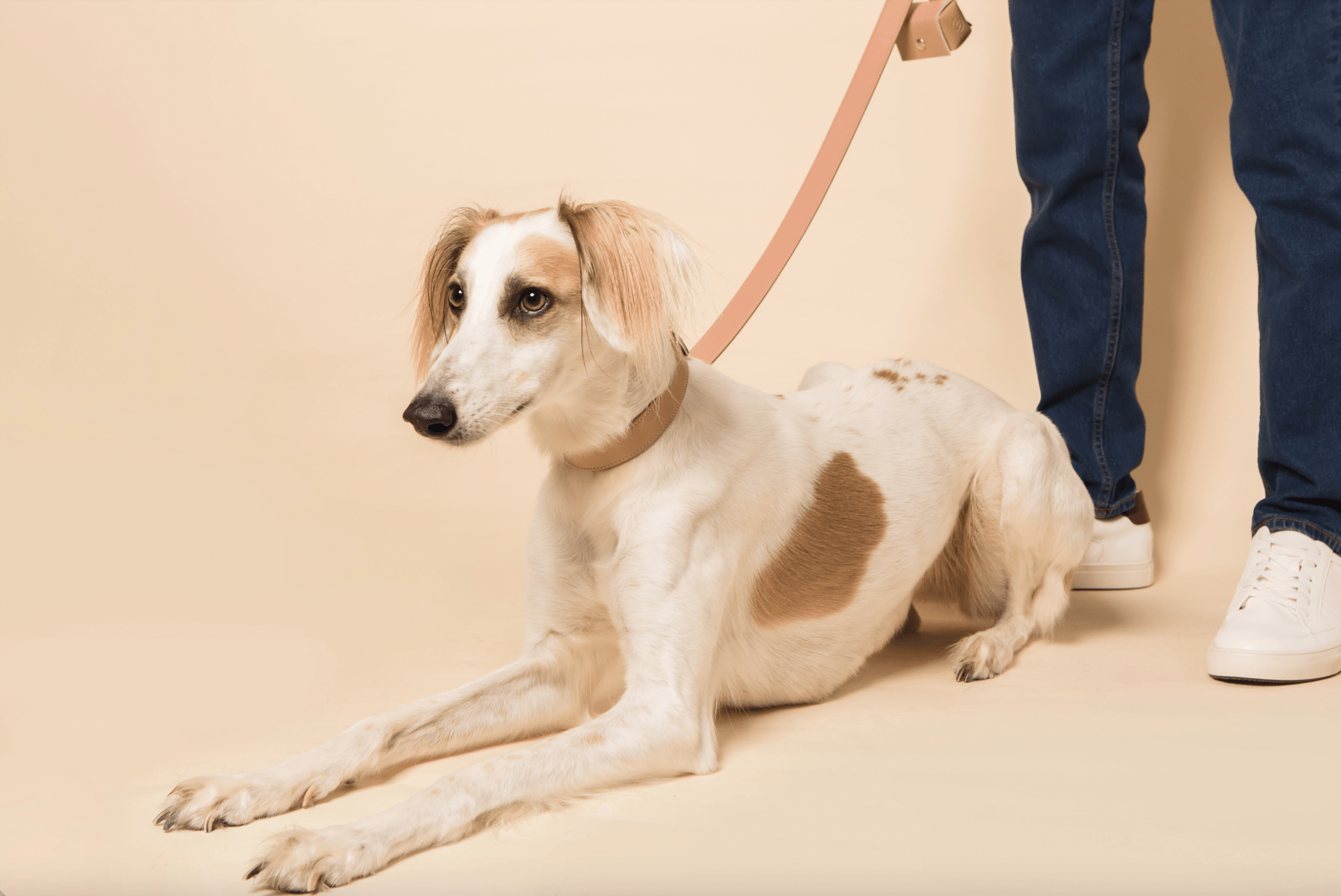 Blush pink apple leather lead - mezetto