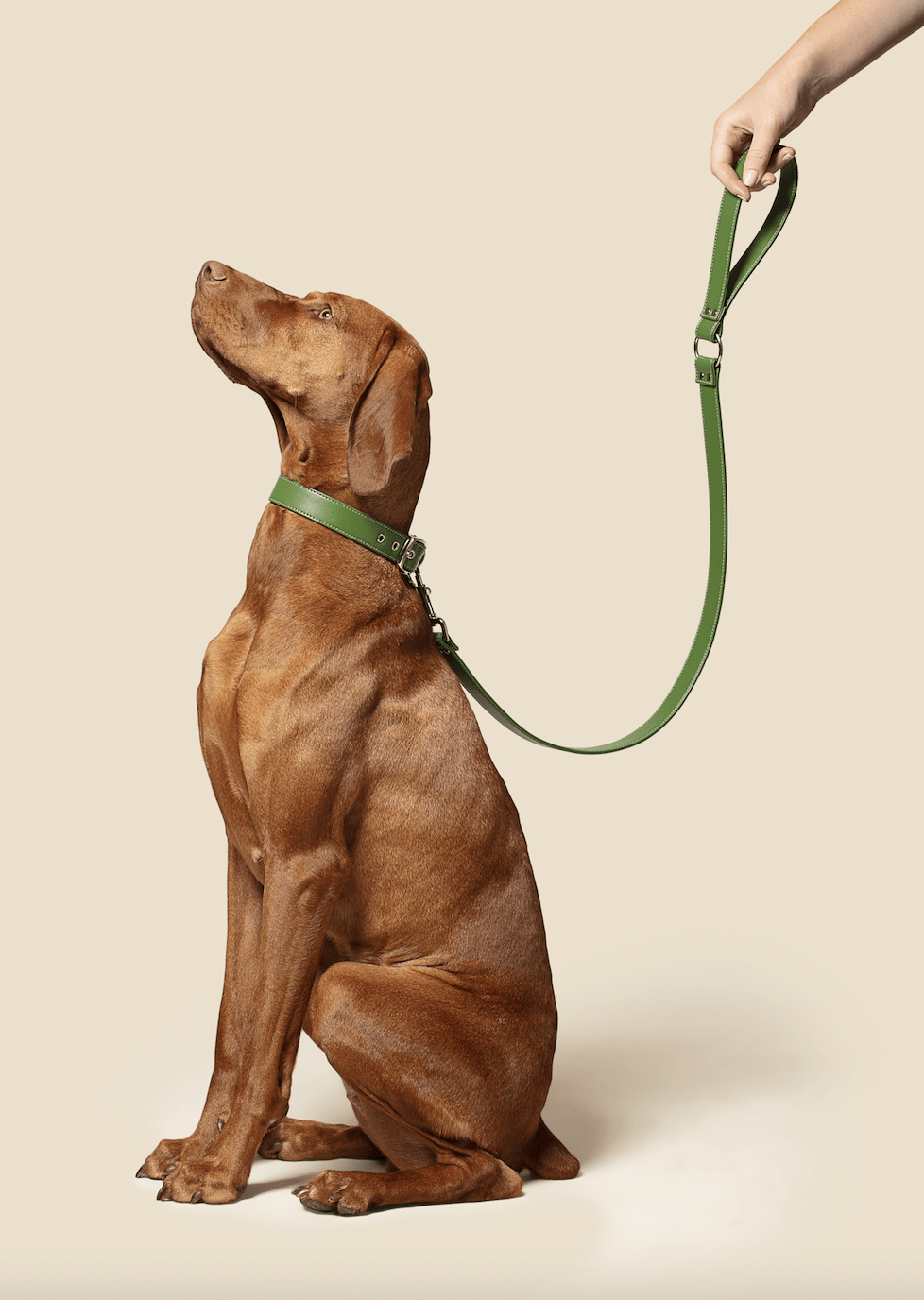 Green apple leather lead - mezetto
