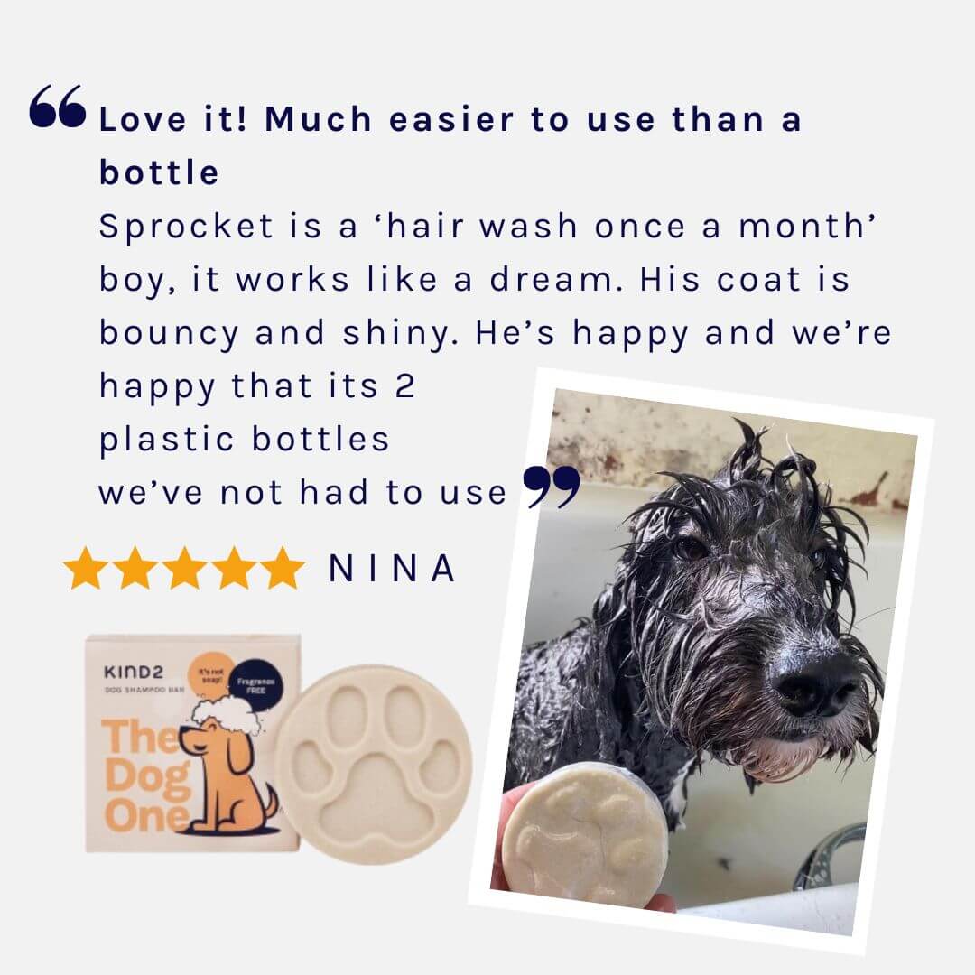 The Dog One - Shampoo Bar Fragrance Free - mezetto