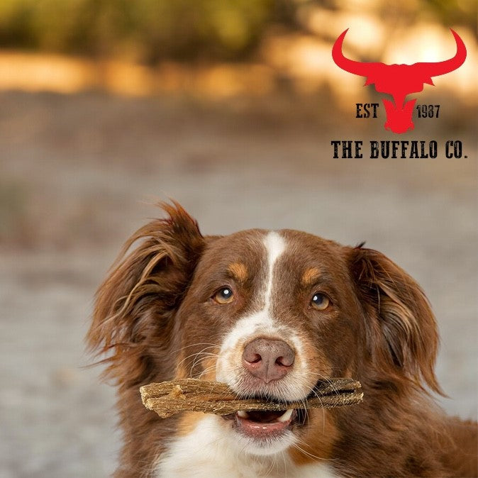 Buffalo Tripe: Dog Treats-100g-2