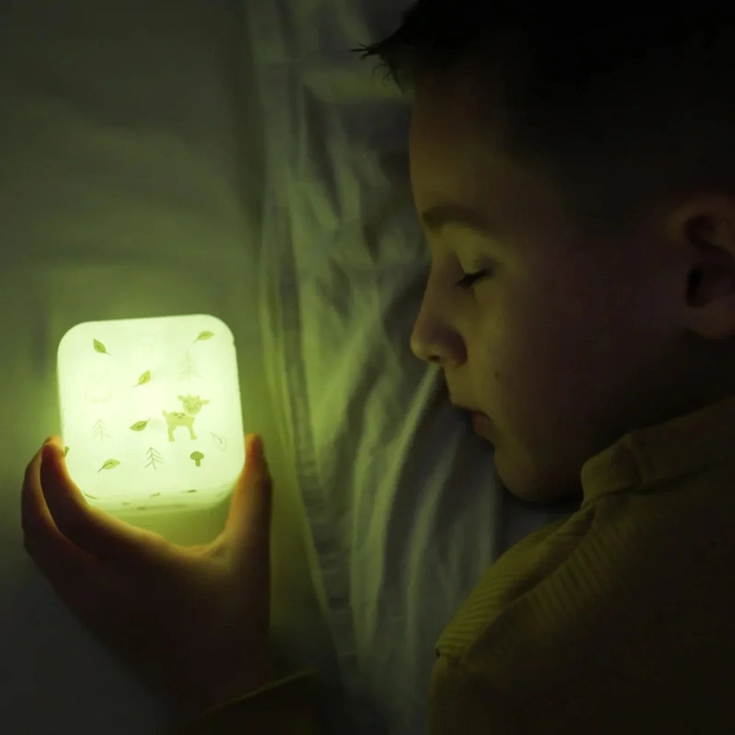 Cloud.b Cube B - Forest