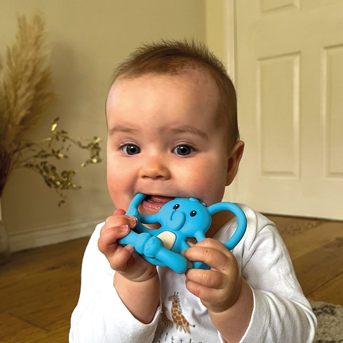 Nuby Yogi Teether
