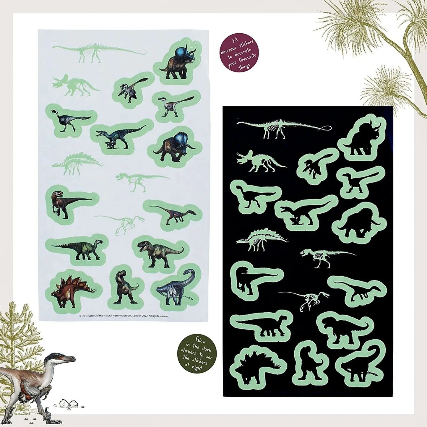 National History Museum Glow in the Dark Stickers