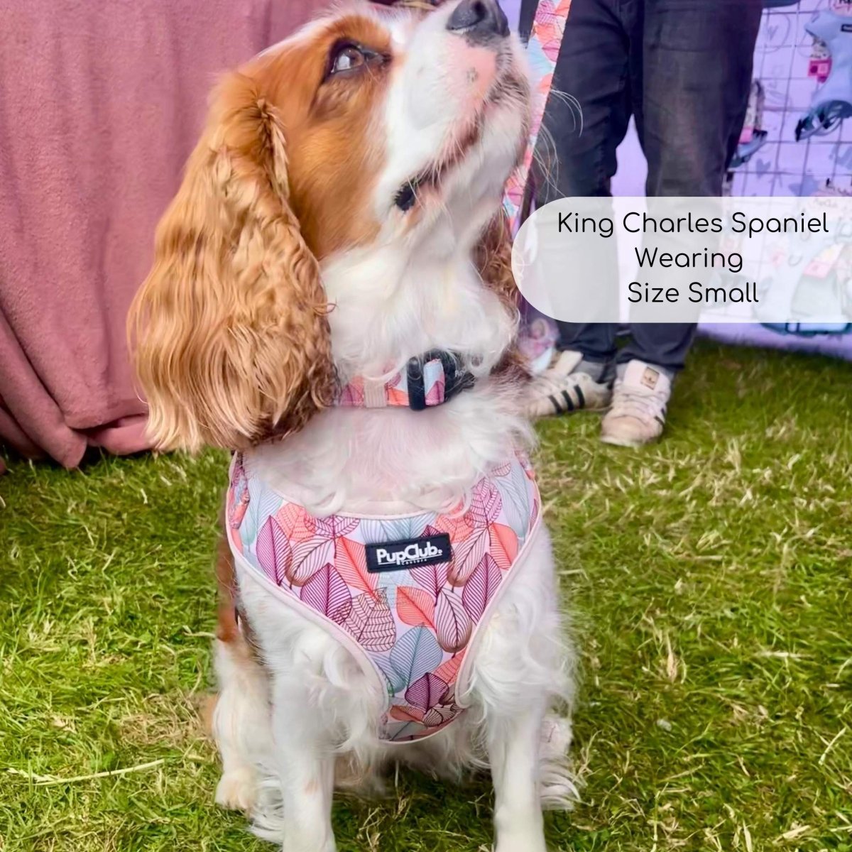 Adjustable Harness - Autumn Breeze - mezetto PupClub Couture PupClub Couture