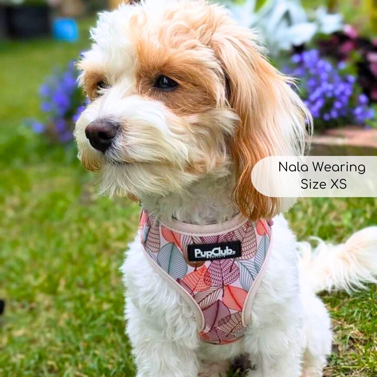 Adjustable Harness - Autumn Breeze - mezetto PupClub Couture PupClub Couture