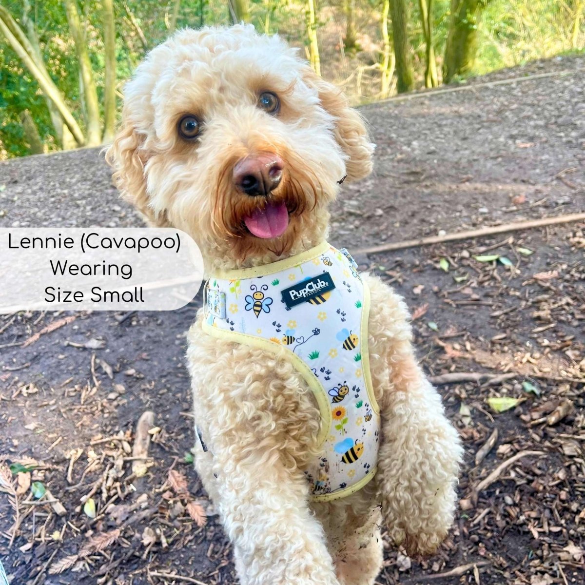 Adjustable Harness - Bee - utiful Summer - mezetto PupClub Couture PupClub Couture