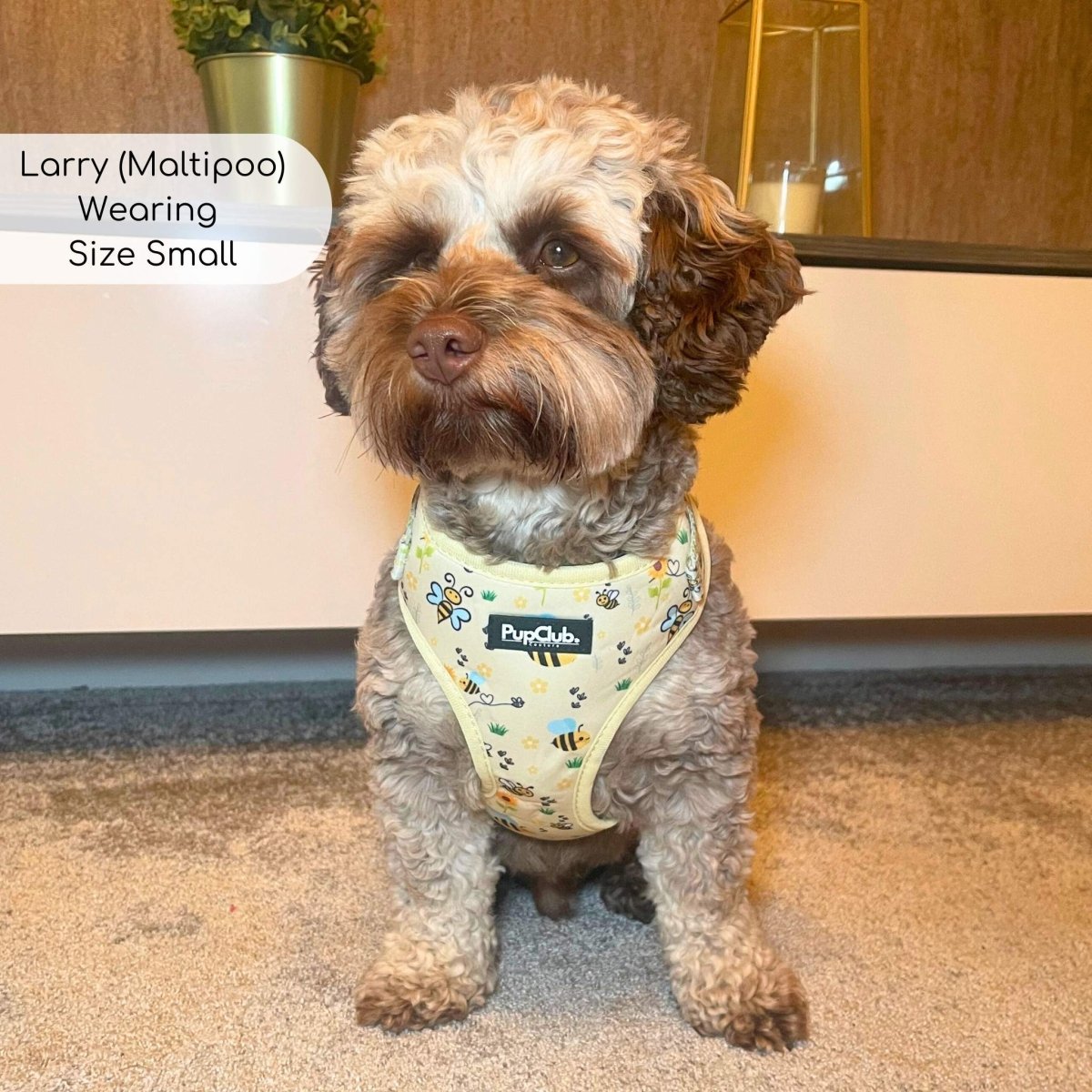 Adjustable Harness - Bee - utiful Summer - mezetto PupClub Couture PupClub Couture