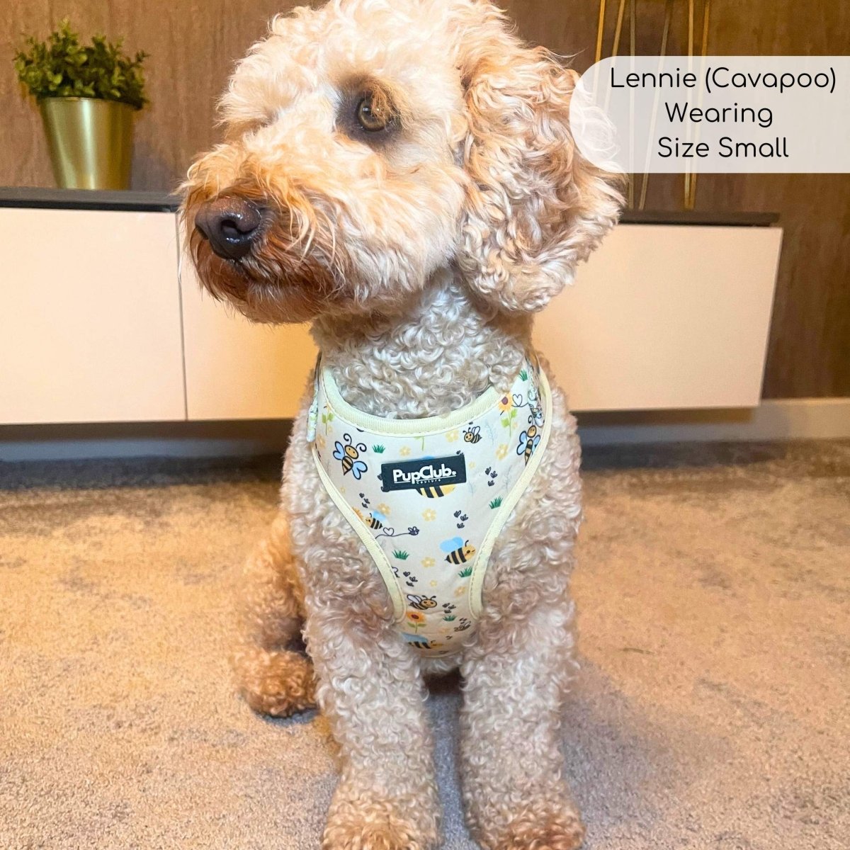 Adjustable Harness - Bee - utiful Summer - mezetto PupClub Couture PupClub Couture